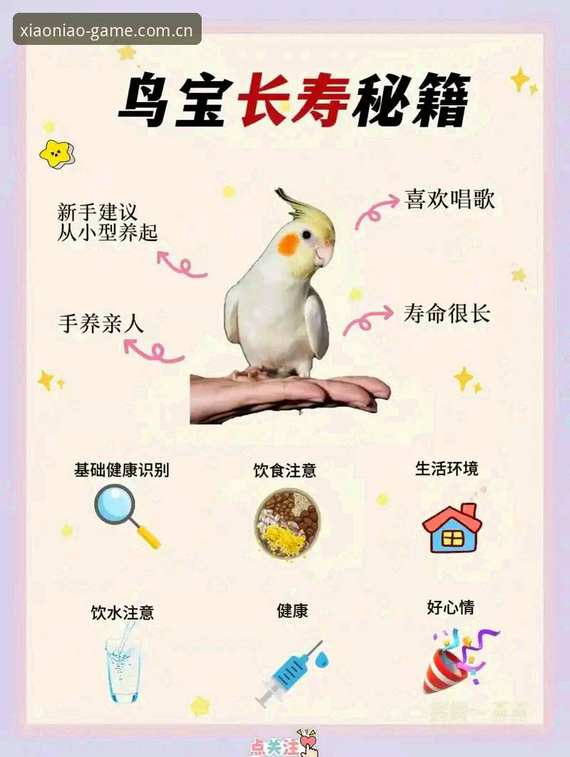 6个实用技巧助你掌握小鸟娱乐客户端攻略，老用户经验全分享