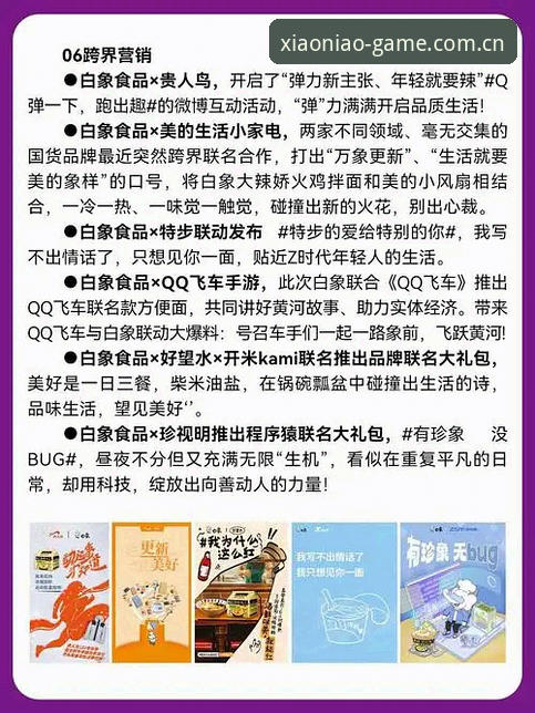 小鸟品牌评价安装教程 资深玩家经验分享:小鸟品牌评价安装教程全解读,手把手教你安全上手